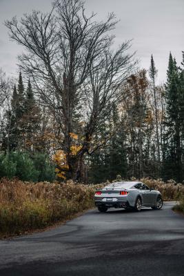 24-Up Ford Mustang GT 5.0L Armor Lite Aluminized Steel 3 Inch Cat-Back Dual Split Rear with Quad Tips Street Profile MBRP