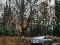 24-Up Ford Mustang GT 5.0L Armor Pro T304 Stainless Steel 3 Inch Cat-Back Dual Split Rear with Quad Carbon Fiber Tips Street Profile MBRP